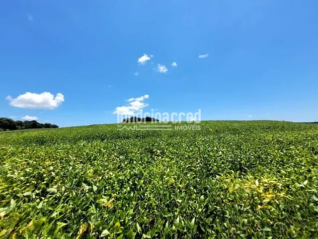 Chácara com 166980m², à venda, no bairro Warta em Londrina