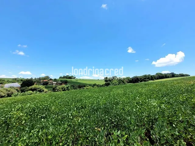 Chácara com 166980m², à venda, no bairro Warta em Londrina