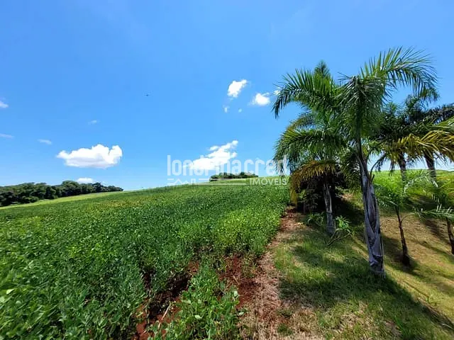 Chácara com 166980m², à venda, no bairro Warta em Londrina