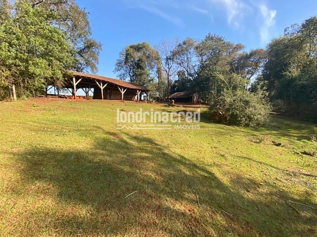 Sítio, 1 quarto, 10 m² - Foto 1