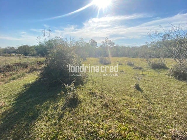 Sítio, 1 quarto, 10 m² - Foto 9