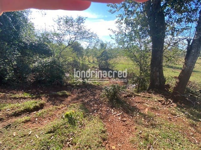 Sítio, 1 quarto, 10 m² - Foto 12