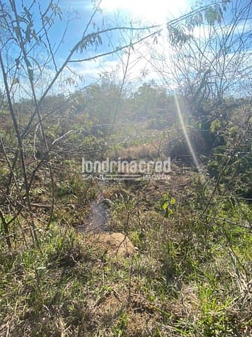 Sítio, 1 quarto, 10 m² - Foto 14