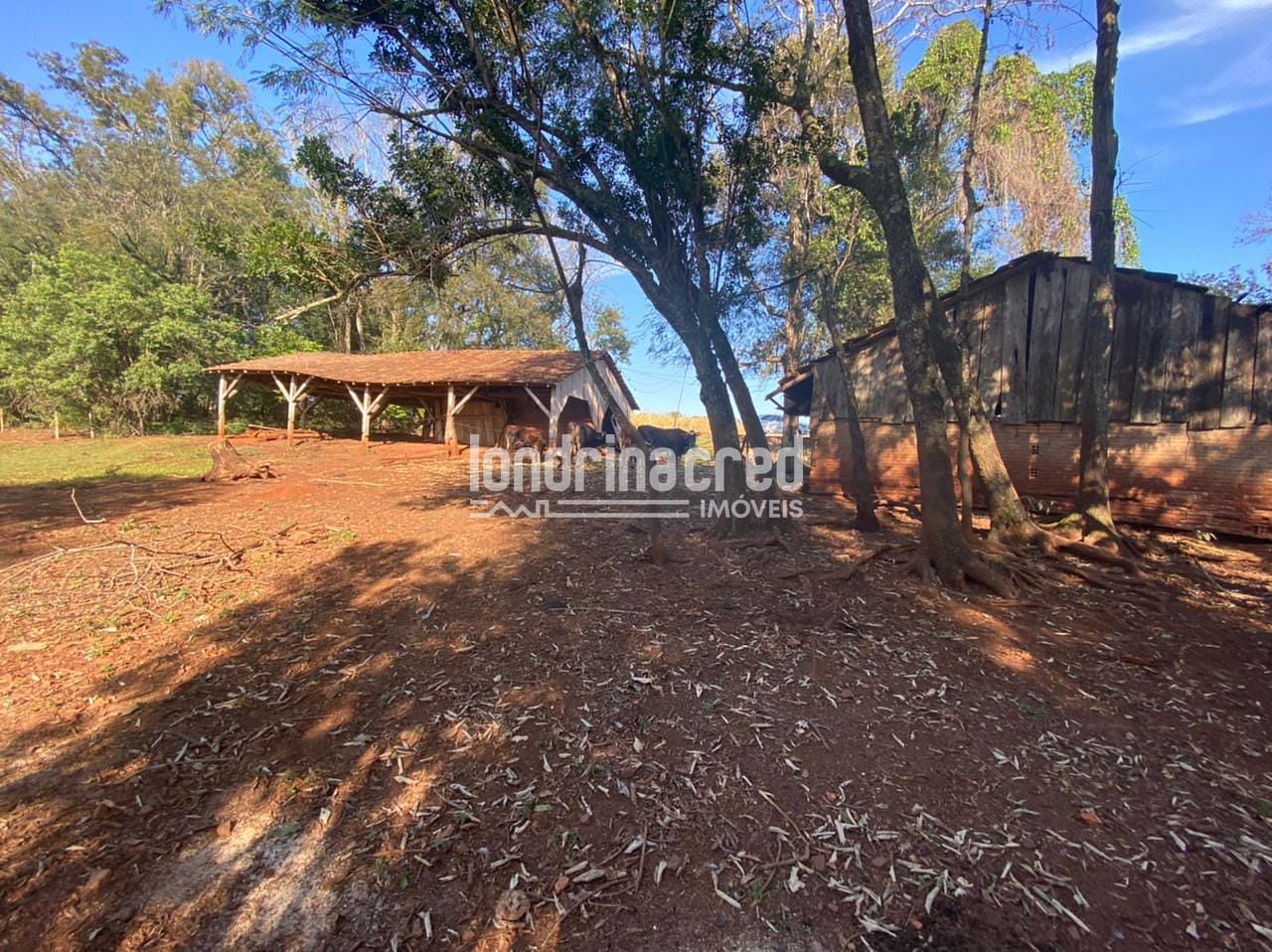 Sítio, 1 quarto, 10 m² - Foto 22