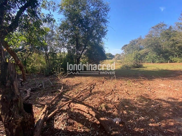 Sítio, 1 quarto, 10 m² - Foto 5