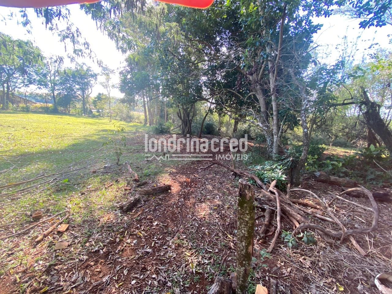 Sítio, 1 quarto, 10 m² - Foto 21