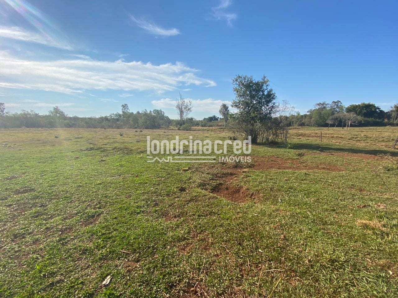 Sítio, 1 quarto, 10 m² - Foto 24