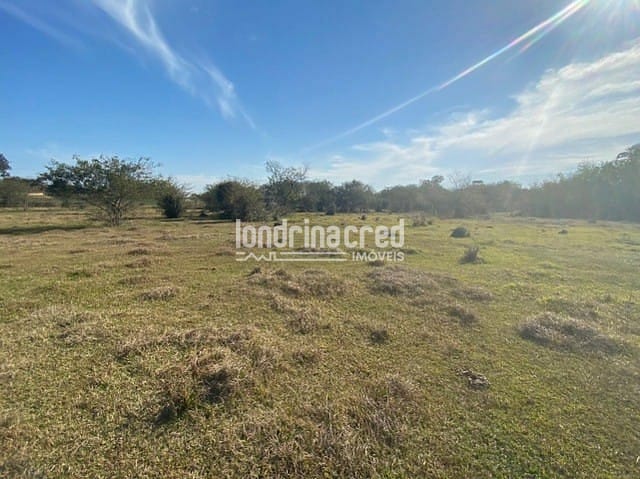 Sítio, 1 quarto, 10 m² - Foto 15