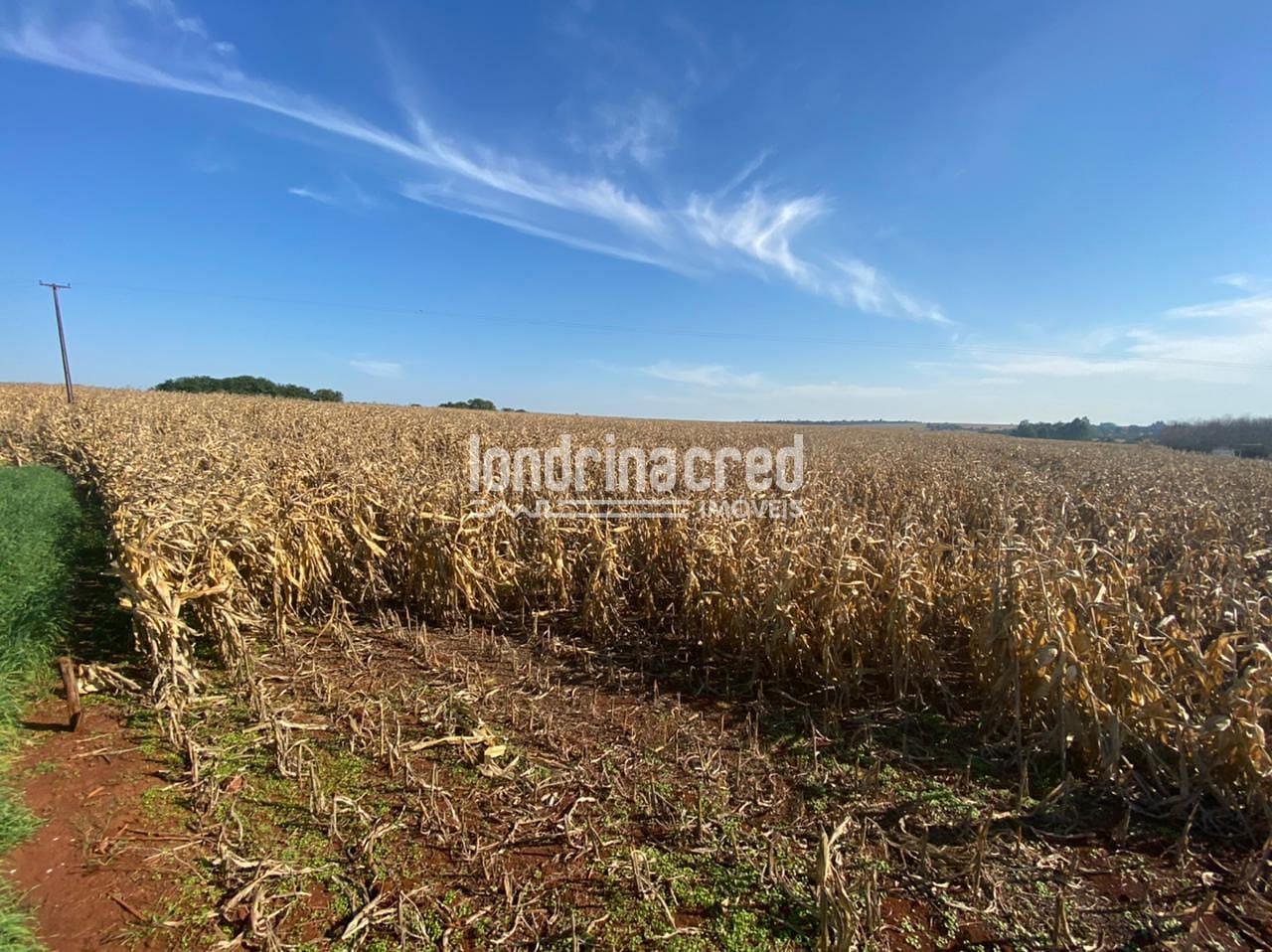 Sítio, 1 quarto, 10 m² - Foto 17