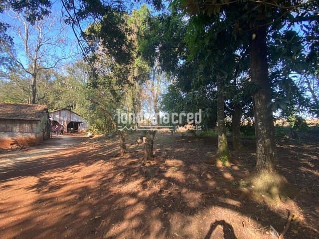 Sítio, 1 quarto, 10 m² - Foto 11