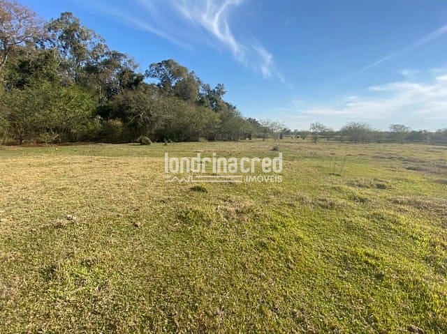 Sítio, 1 quarto, 10 m² - Foto 8