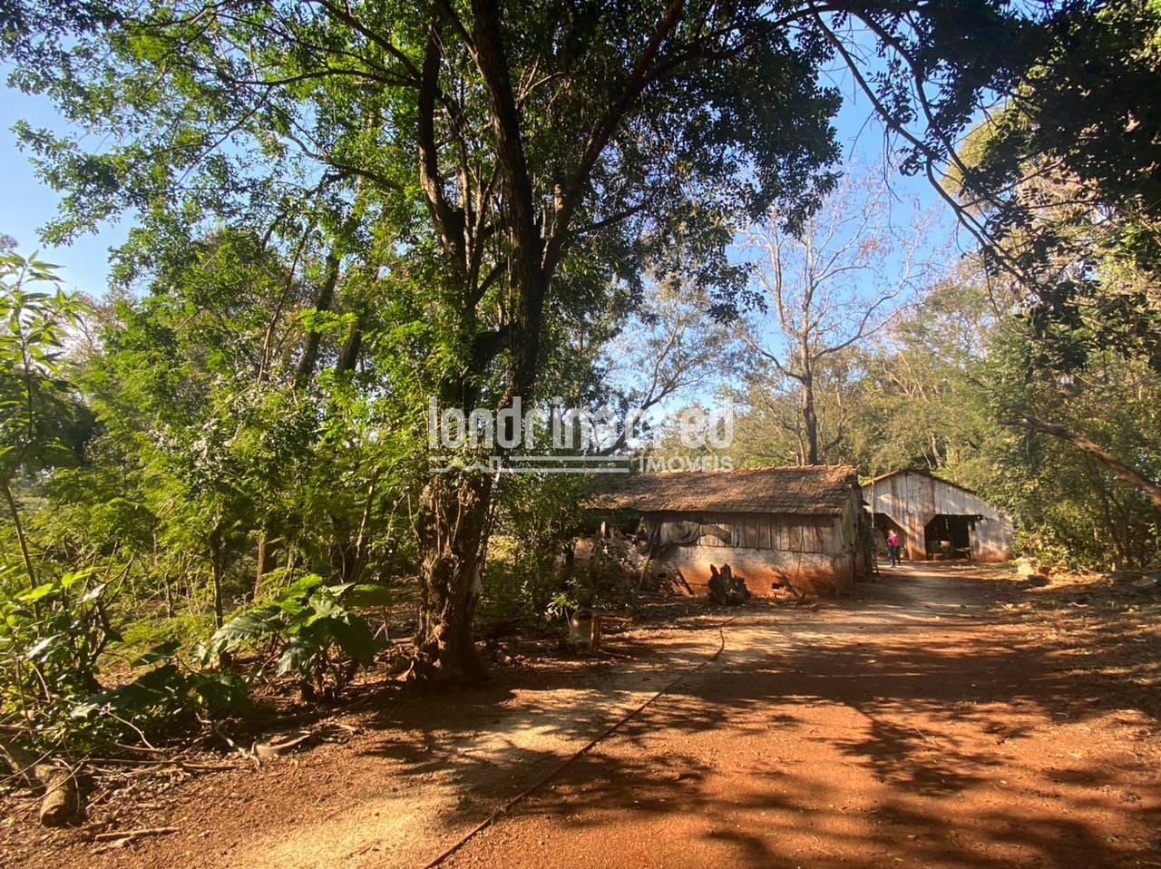 Sítio, 1 quarto, 10 m² - Foto 25