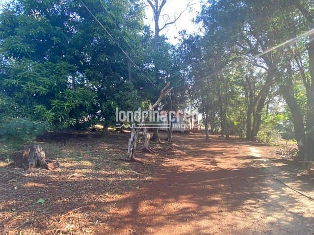 Sítio, 1 quarto, 10 m² - Foto 10