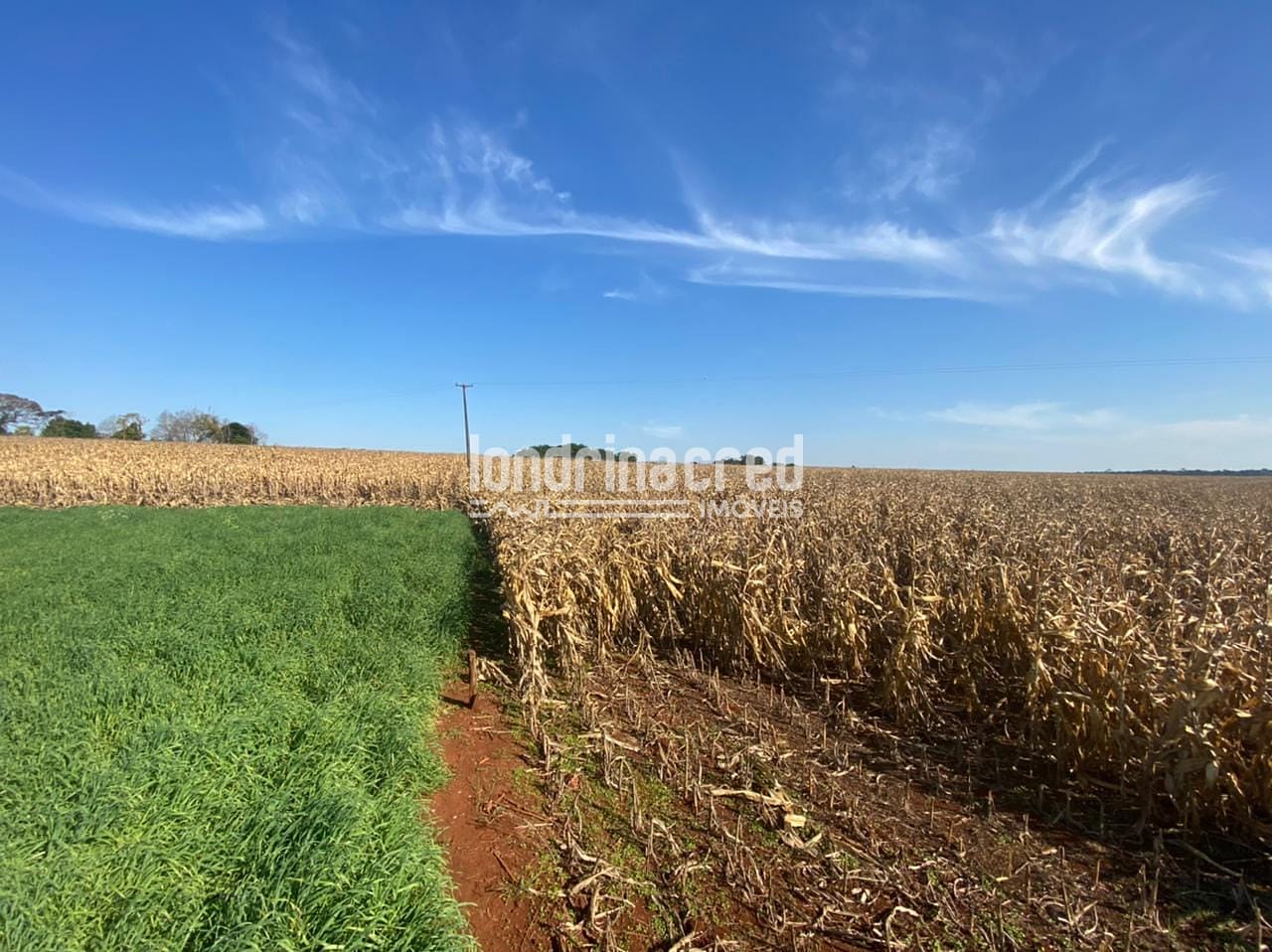 Sítio, 1 quarto, 10 m² - Foto 19