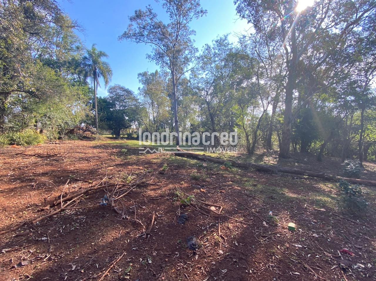 Sítio, 1 quarto, 10 m² - Foto 20