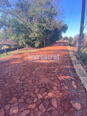 Sítio, 1 quarto, 10 m² - Foto 4