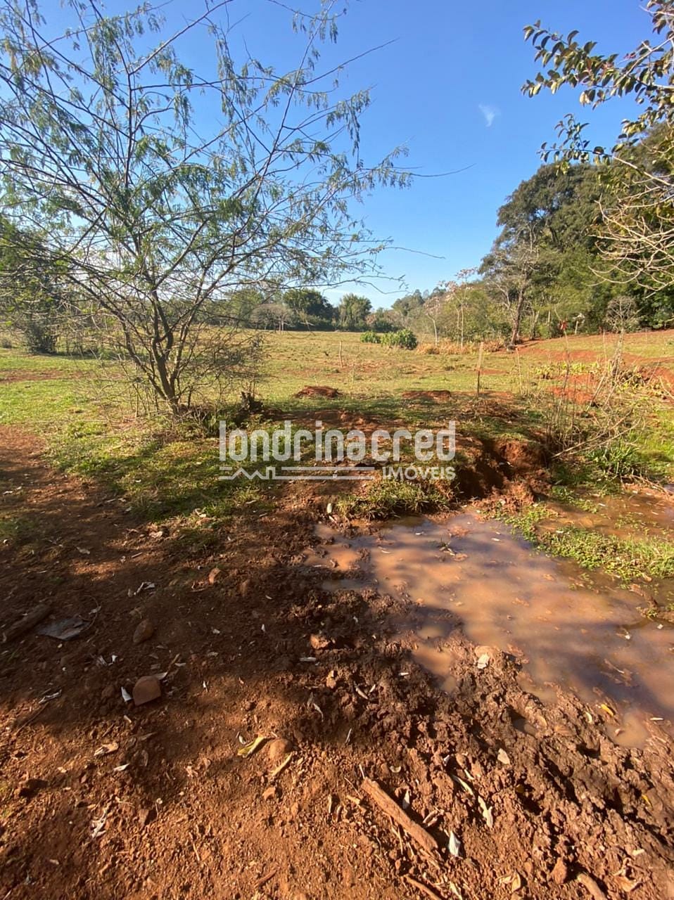 Sítio, 1 quarto, 10 m² - Foto 23