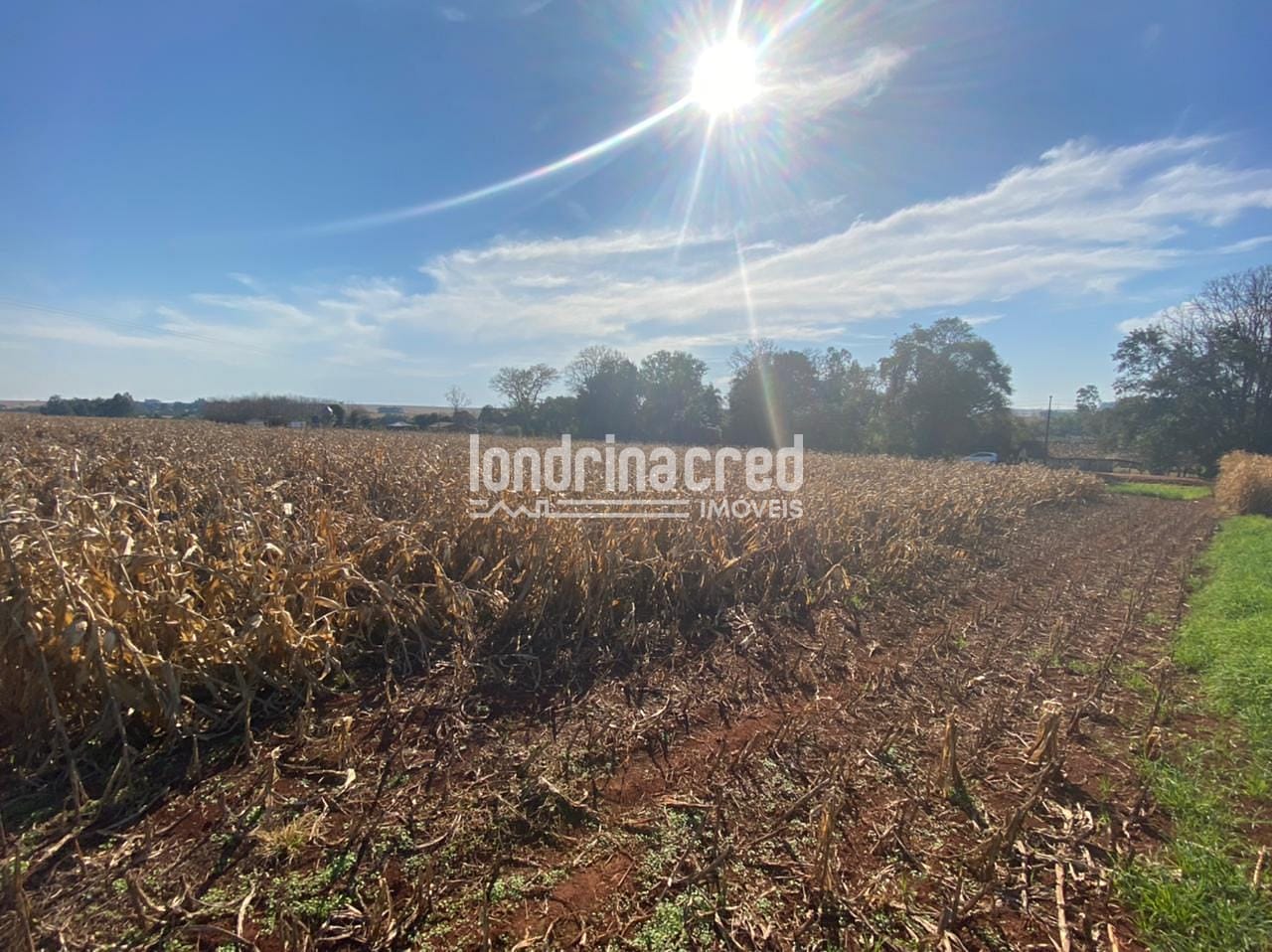 Sítio, 1 quarto, 10 m² - Foto 18