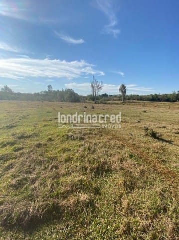 Sítio, 1 quarto, 10 m² - Foto 7