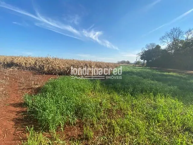 Chácara à venda, no bairro Zona Rural em Serranópolis Do Iguaçu