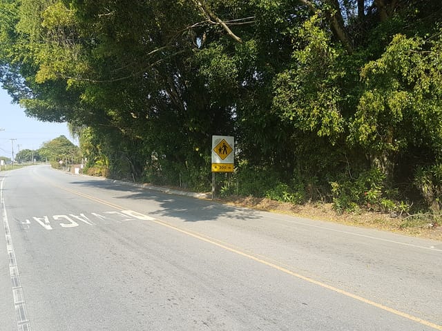 Chácara com 20500m², à venda, no bairro Bonsucesso em Pindamonhangaba