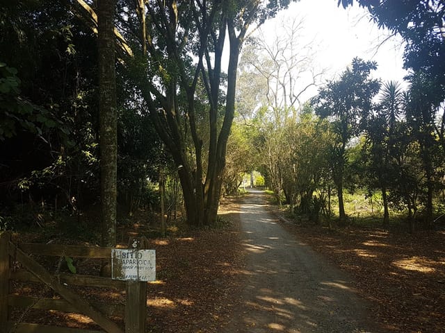 Chácara com 20500m², à venda, no bairro Bonsucesso em Pindamonhangaba