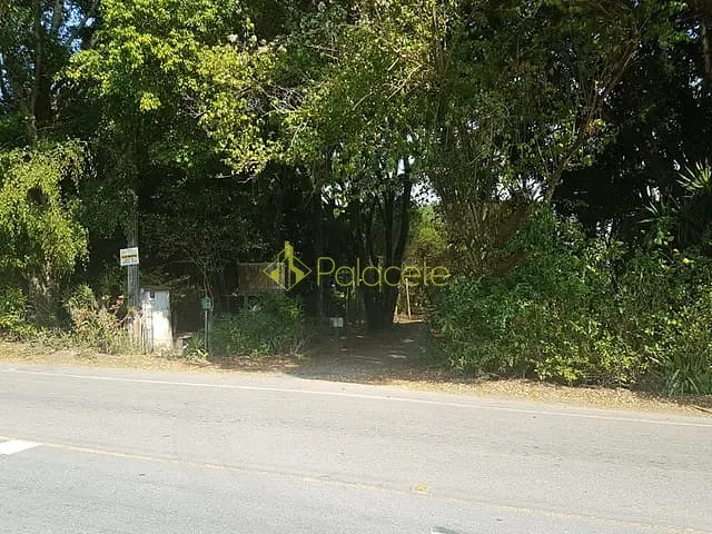 Chácara com 20500m², à venda, no bairro Bonsucesso em Pindamonhangaba
