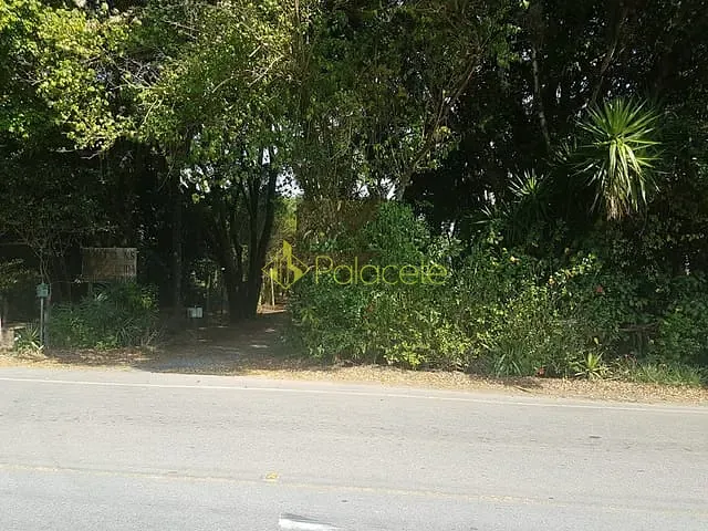 Chácara com 20500m², à venda, no bairro Bonsucesso em Pindamonhangaba