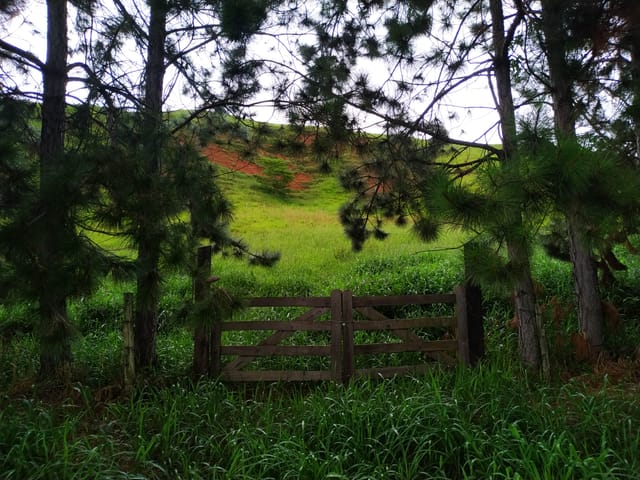 Chácara com 30000m², à venda, no bairro Zona Rural em Silveiras