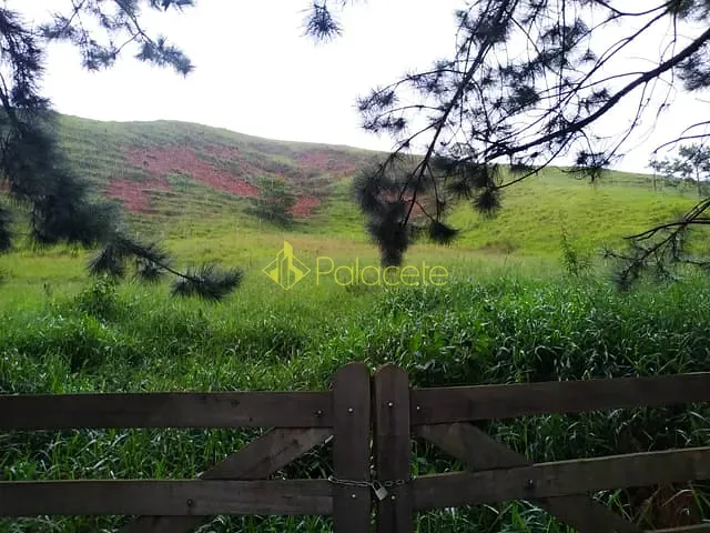 Chácara com 30000m², à venda, no bairro Zona Rural em Silveiras
