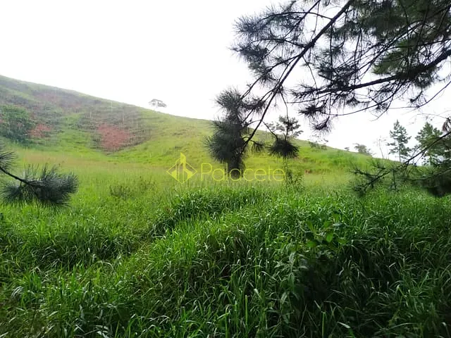 Chácara com 30000m², à venda, no bairro Zona Rural em Silveiras