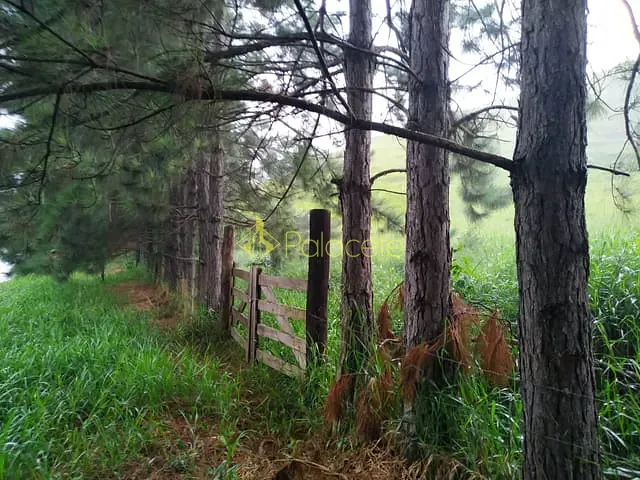 Chácara com 30000m², à venda, no bairro Zona Rural em Silveiras