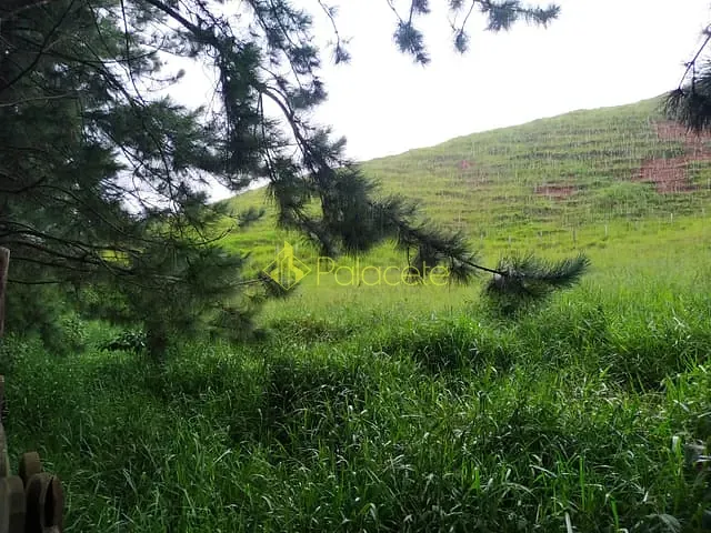 Chácara com 30000m², à venda, no bairro Zona Rural em Silveiras