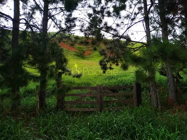 Chácara com 30000m², à venda, no bairro Zona Rural em Silveiras