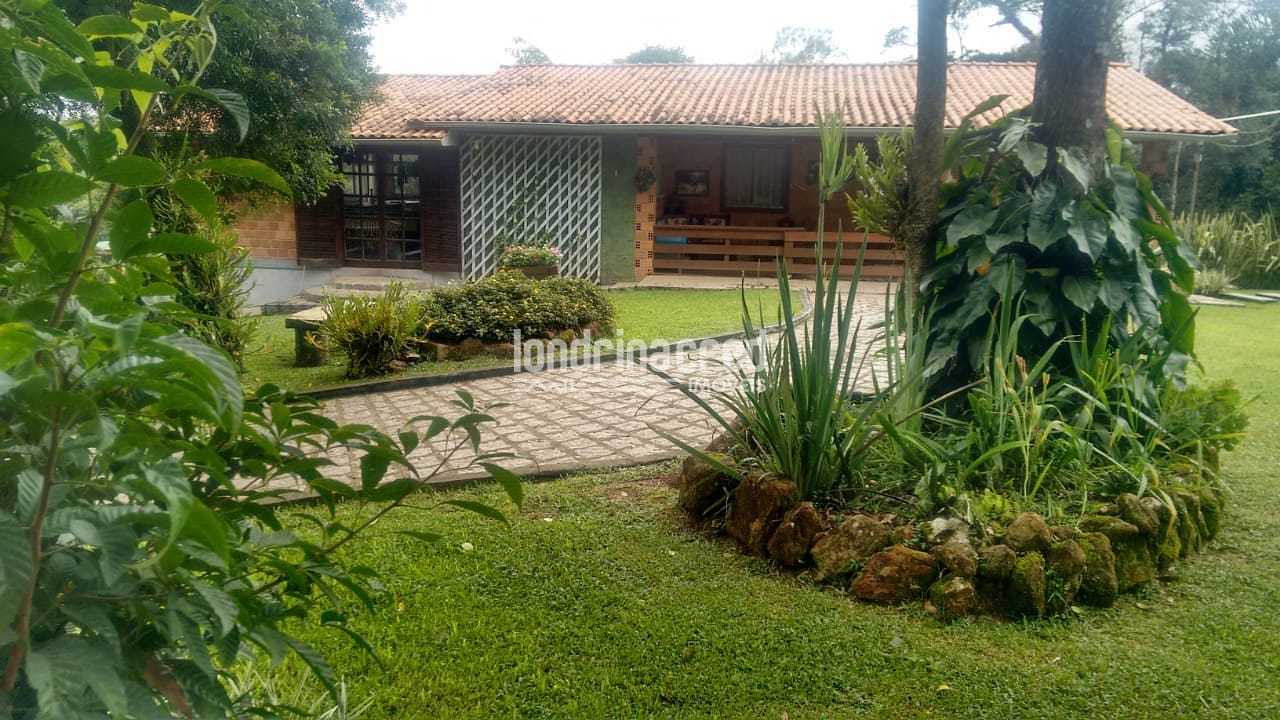 Sítio, 3 quartos, 10 m² - Foto 12