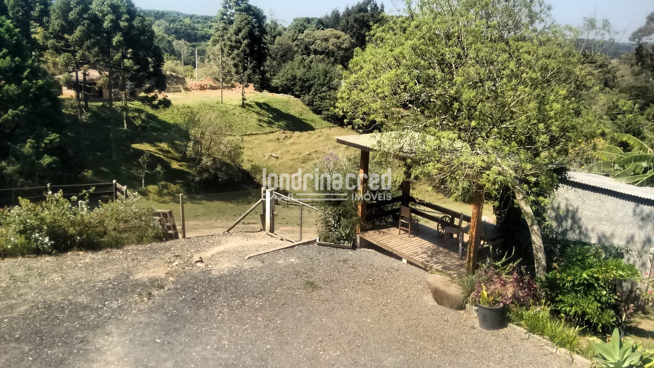 Sítio, 3 quartos, 10 m² - Foto 4