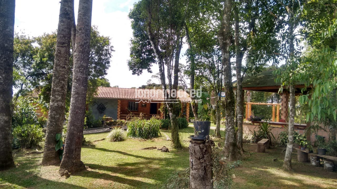 Sítio, 3 quartos, 10 m² - Foto 3