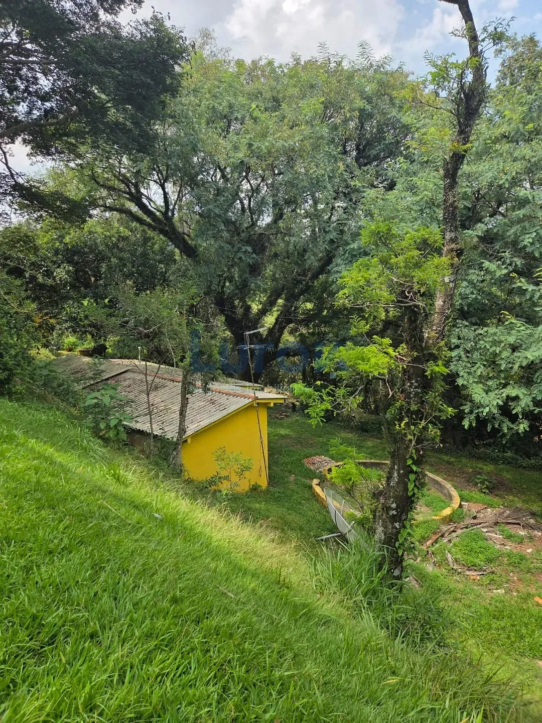 Chácara, 3 quartos, 4040 m² - Foto 3