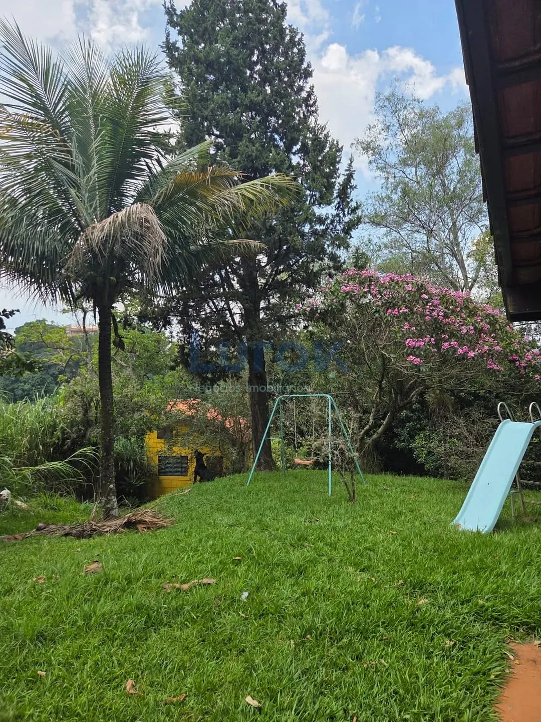 Chácara, 3 quartos, 4040 m² - Foto 4