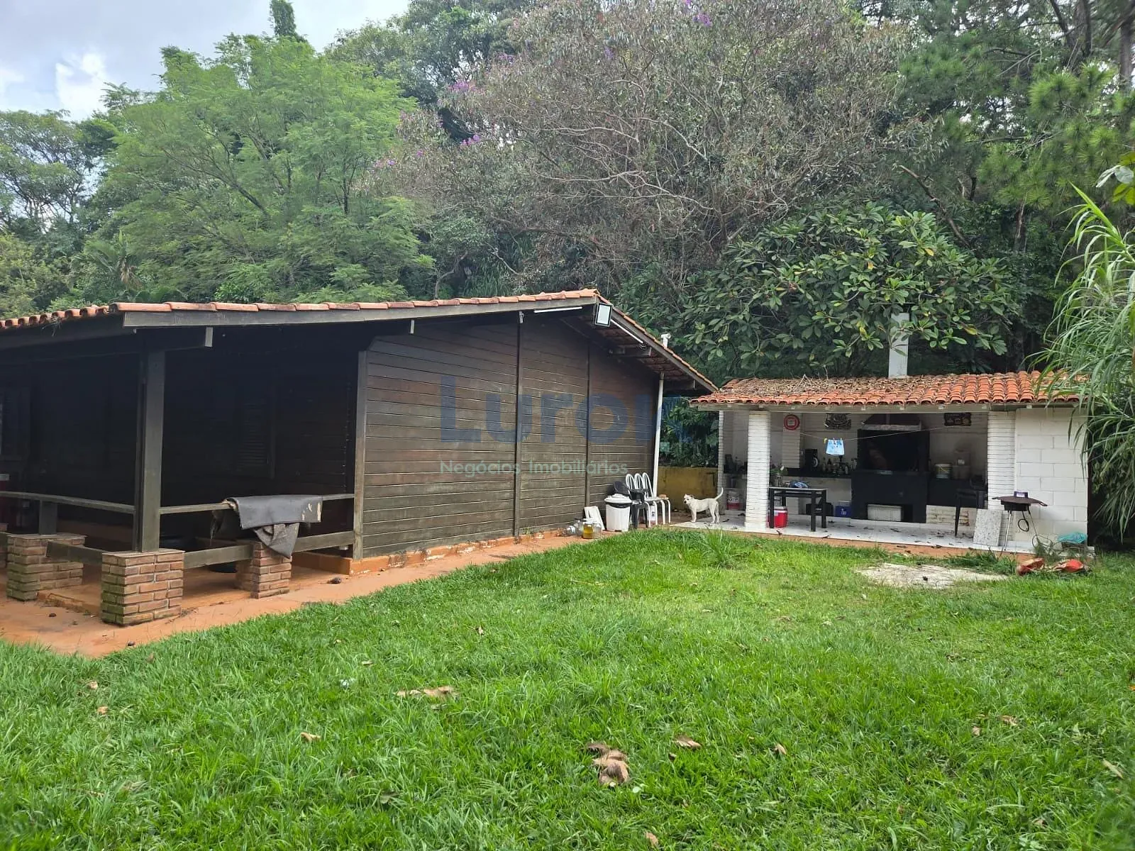 Chácara, 3 quartos, 4040 m² - Foto 6