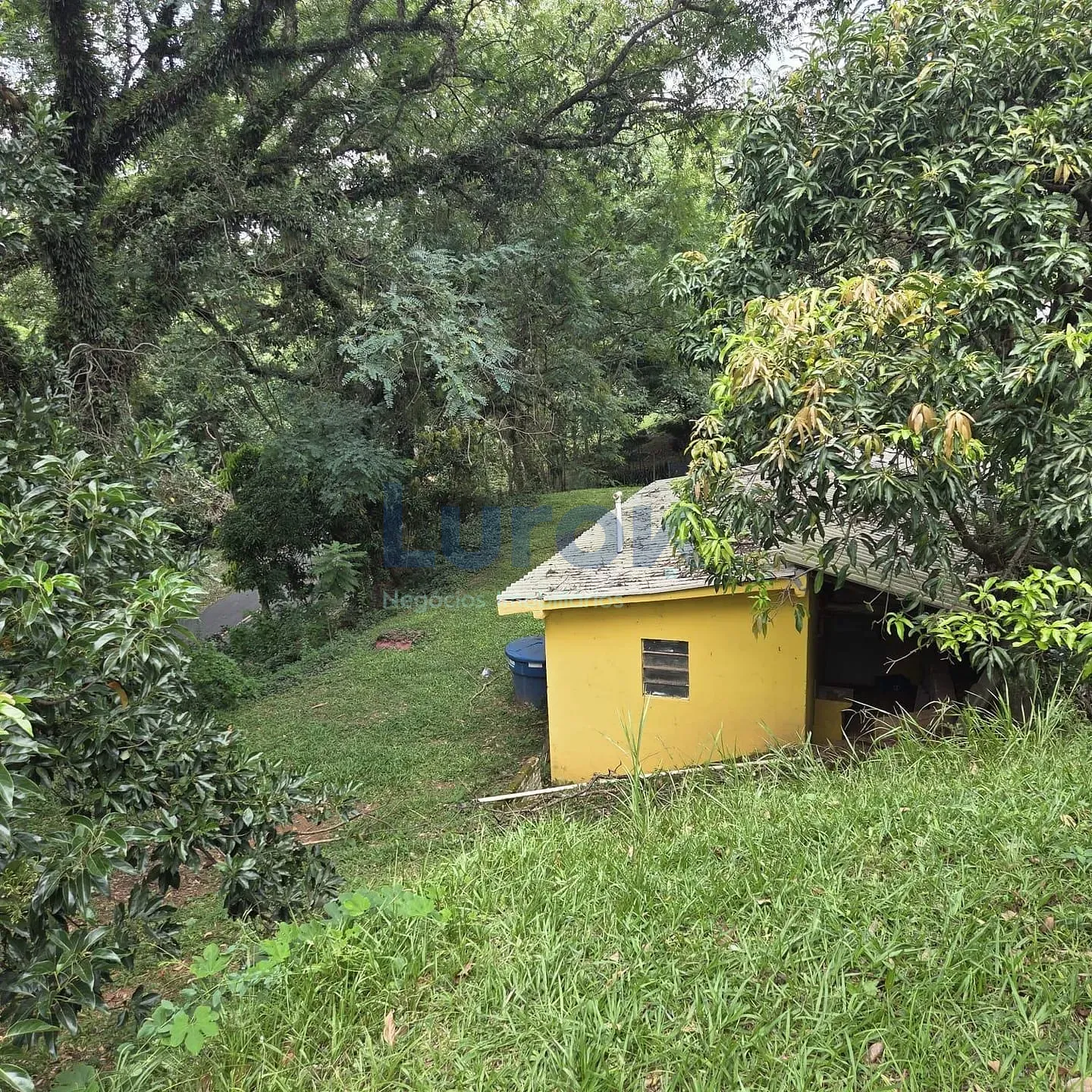 Chácara, 3 quartos, 4040 m² - Foto 7