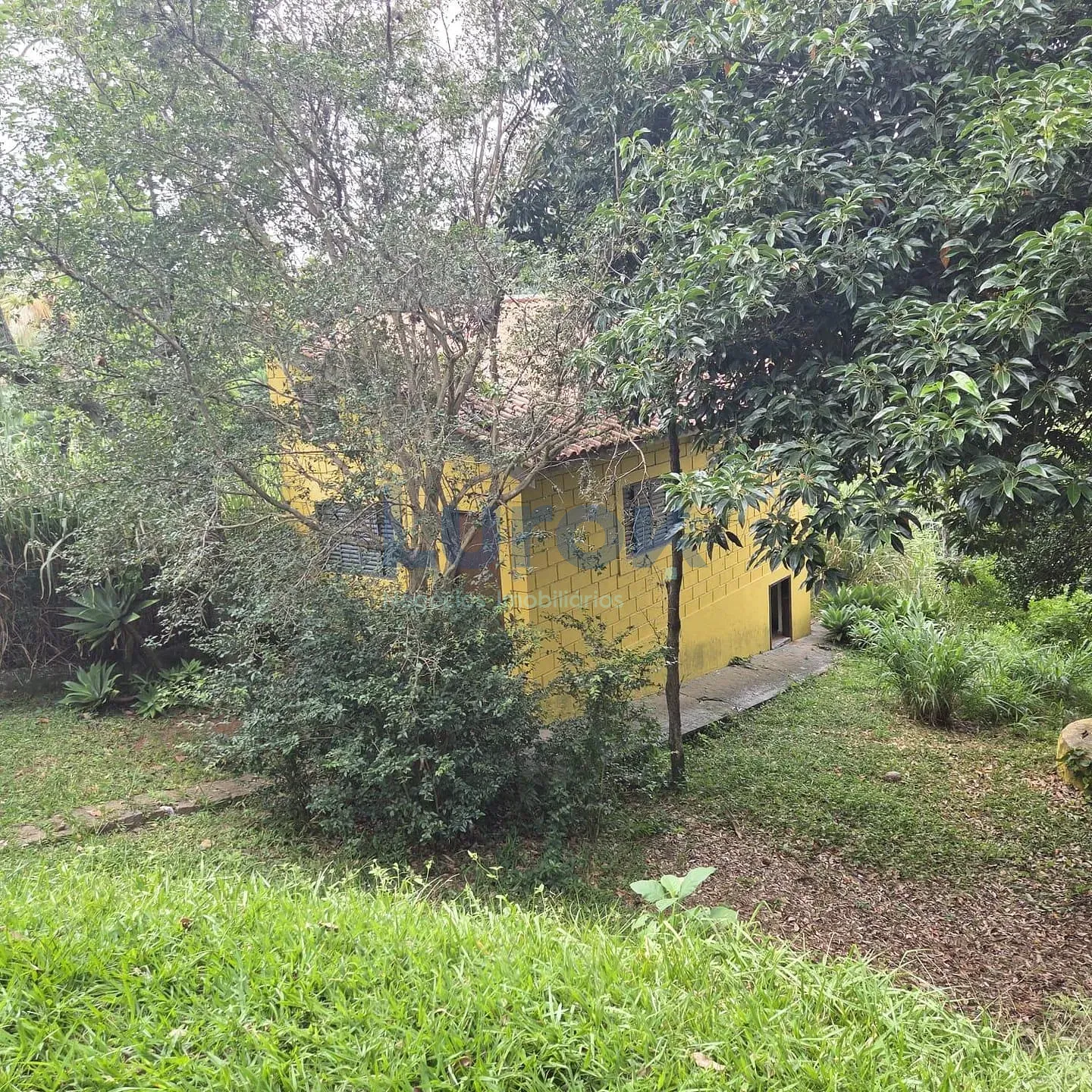 Chácara, 3 quartos, 4040 m² - Foto 8