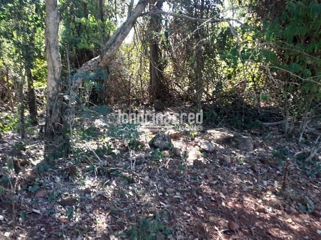 Sítio, 1 quarto, 10 m² - Foto 4