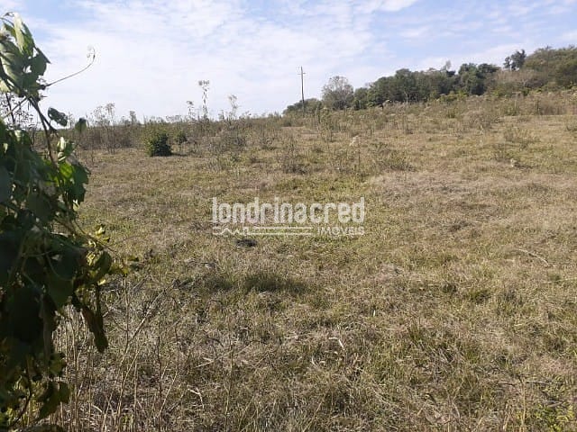 Sítio, 1 quarto, 10 m² - Foto 1