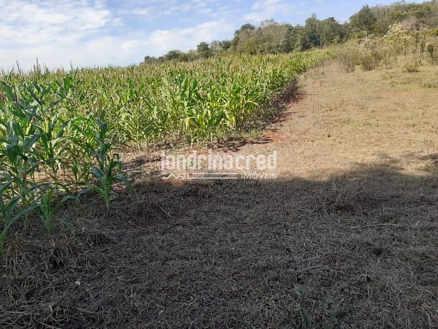 Sítio, 1 quarto, 10 m² - Foto 5