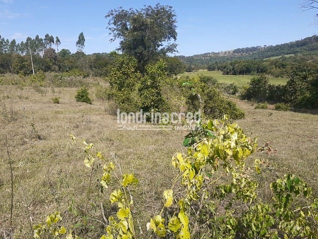 Sítio, 1 quarto, 10 m² - Foto 3