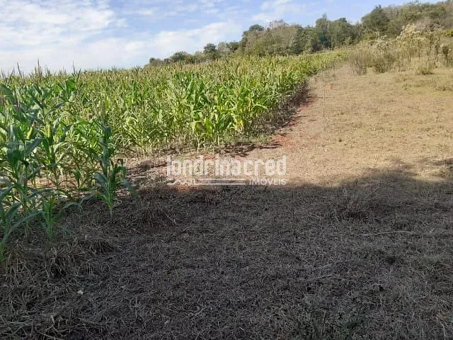 Chácara à venda, no bairro Zona Rural em Santa Helena