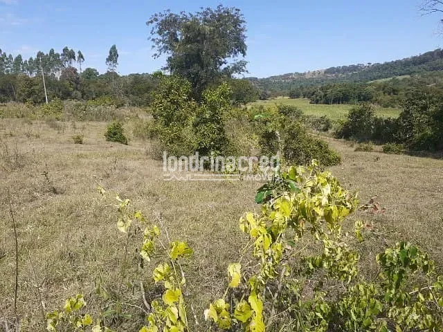 Chácara à venda, no bairro Zona Rural em Santa Helena