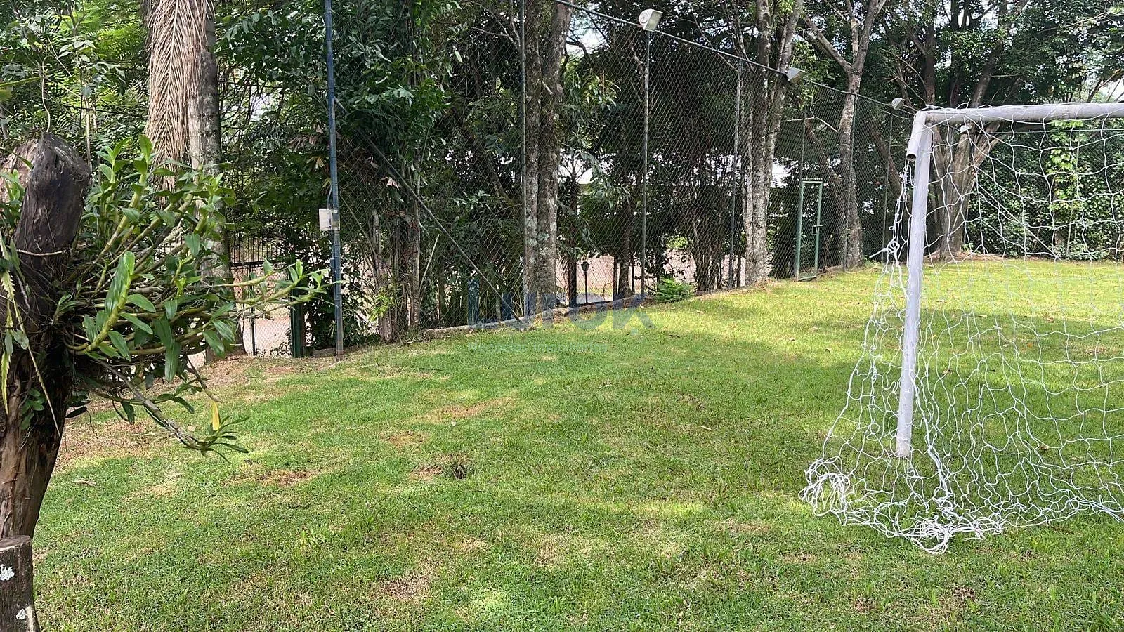 Chácara, 3 quartos, 2480 m² - Foto 11