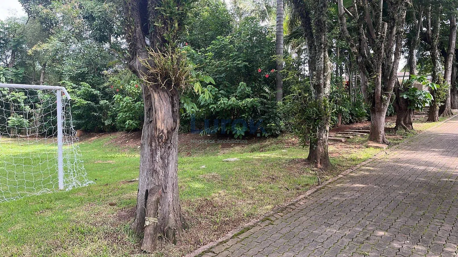 Chácara, 3 quartos, 2480 m² - Foto 13